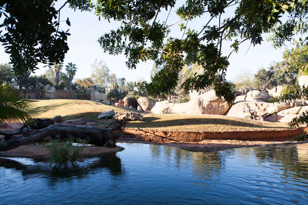 Lago Bioparc