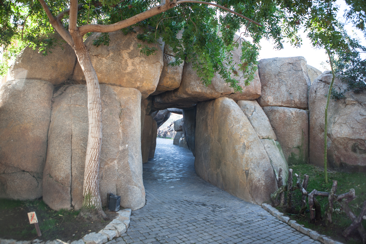 Rocas del Bioparc