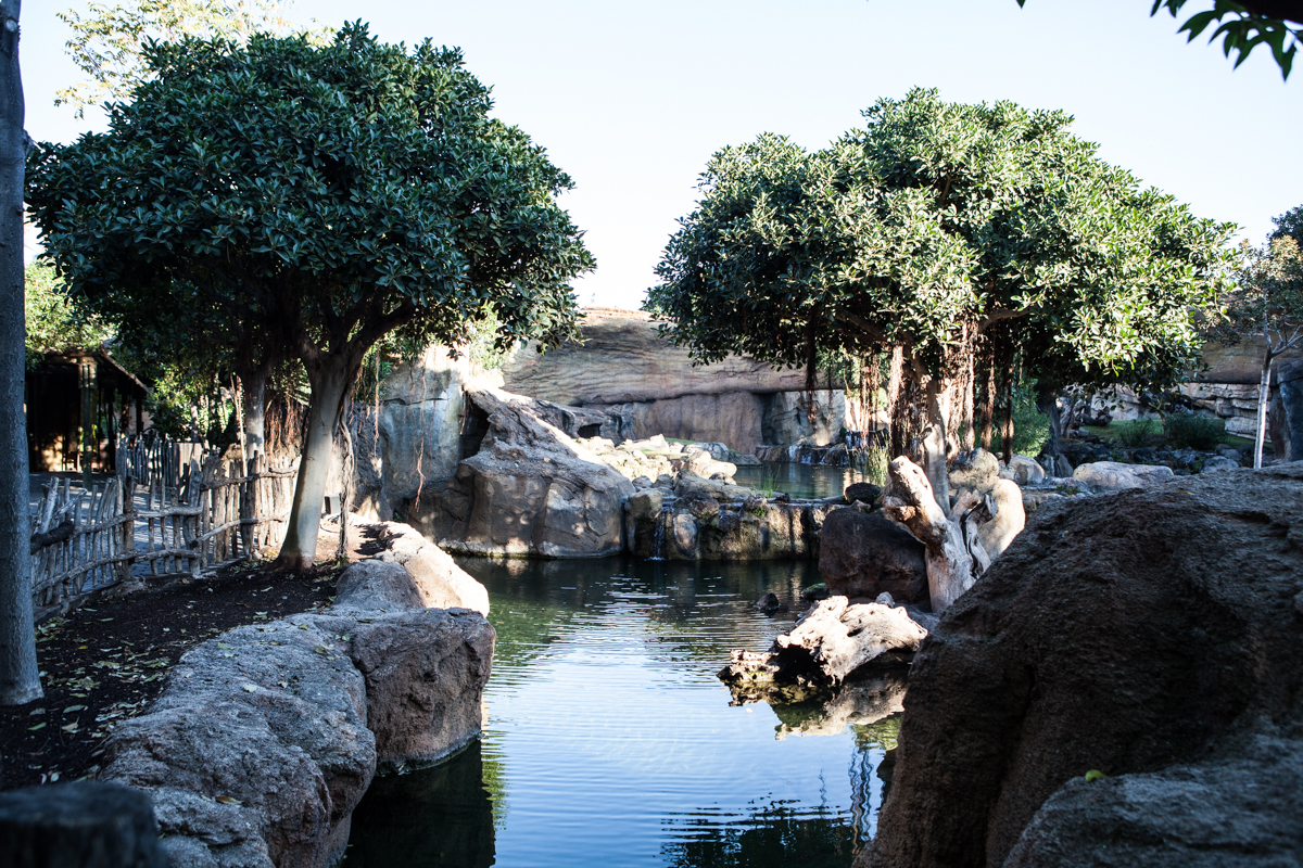 Lago del Bioparc