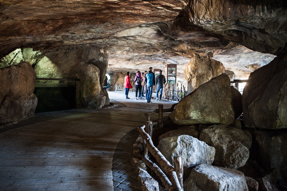 Cuevas del Bioparc