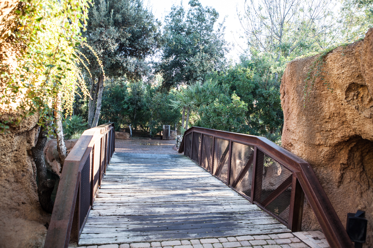 Puente dentro del Bioparc