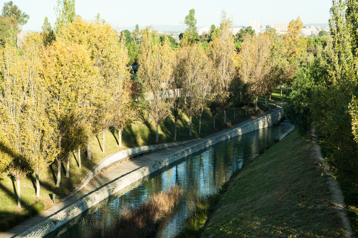 Vista aérea del canal que pasa junto al Bioparc