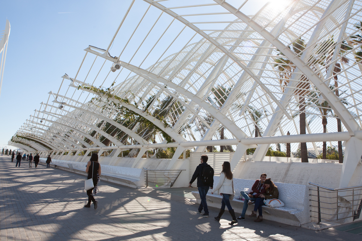 Vista exterior del umbracle