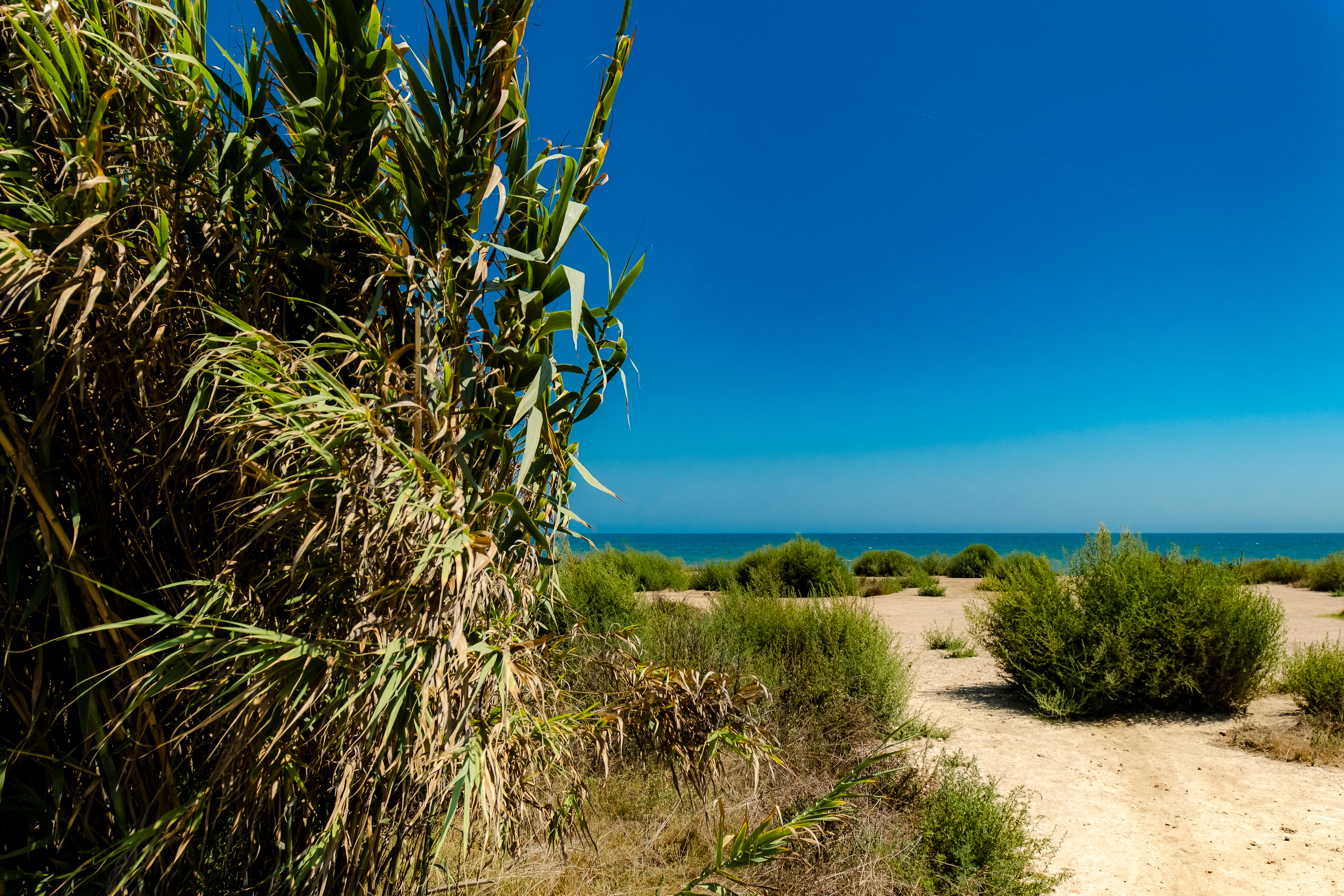 Localizacion_Playas_Valencia_Film_Office