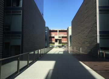 upv