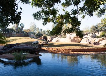 Lago Bioparc