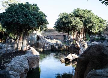 Lago del Bioparc