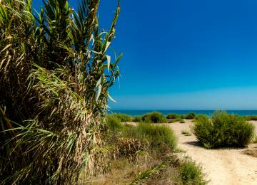 Localizacion_Playas_Valencia_Film_Office