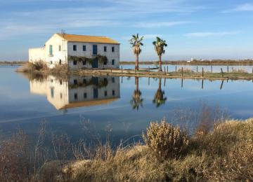 El desentierro película albufera